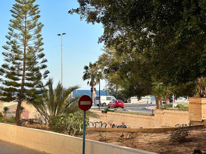 #1ZA10473 Apartament na sprzedaż w Torrevieja