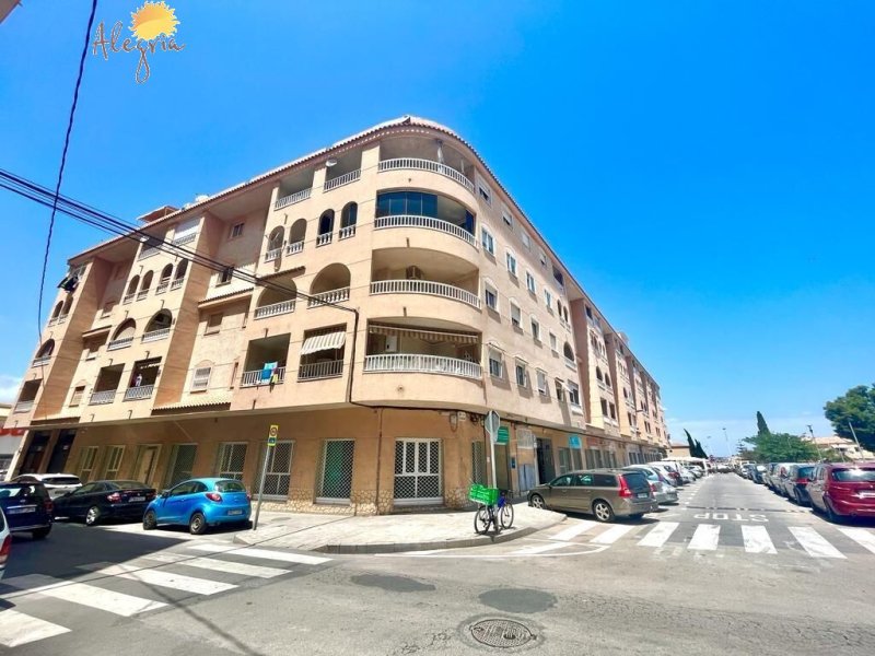 #1ZA9361 Apartament na sprzedaż w Torrevieja