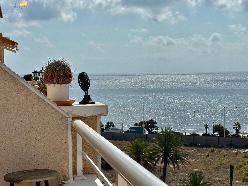 #1ZAI0006 Flat for sale in Torrevieja